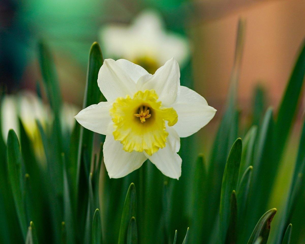 Outdoor & Gardening - This & That Solutions - Personalized Gifts & Custom Home Decor