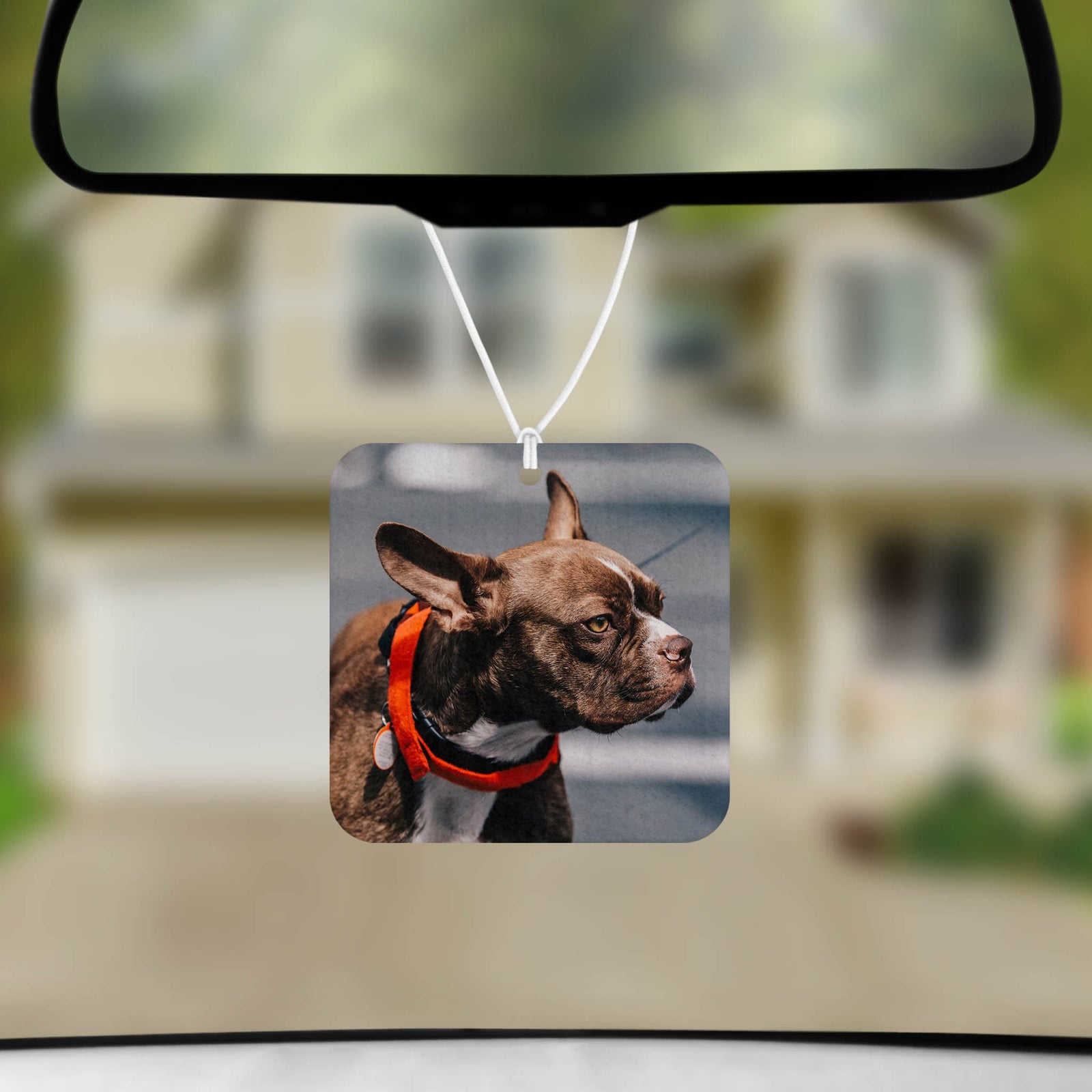 Personalized Air Fresheners | Set of 2 | Custom Car Accessories | Custom Photo Pet