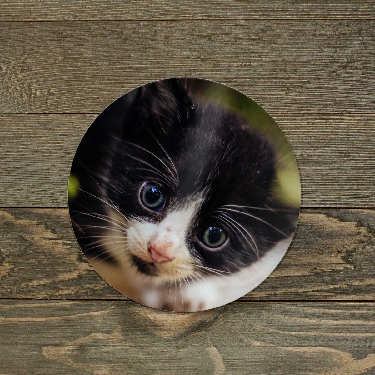 Personalized Ball Marker | Hat Clip Ball Marker | Golf Gifts | Custom Photo Pet
