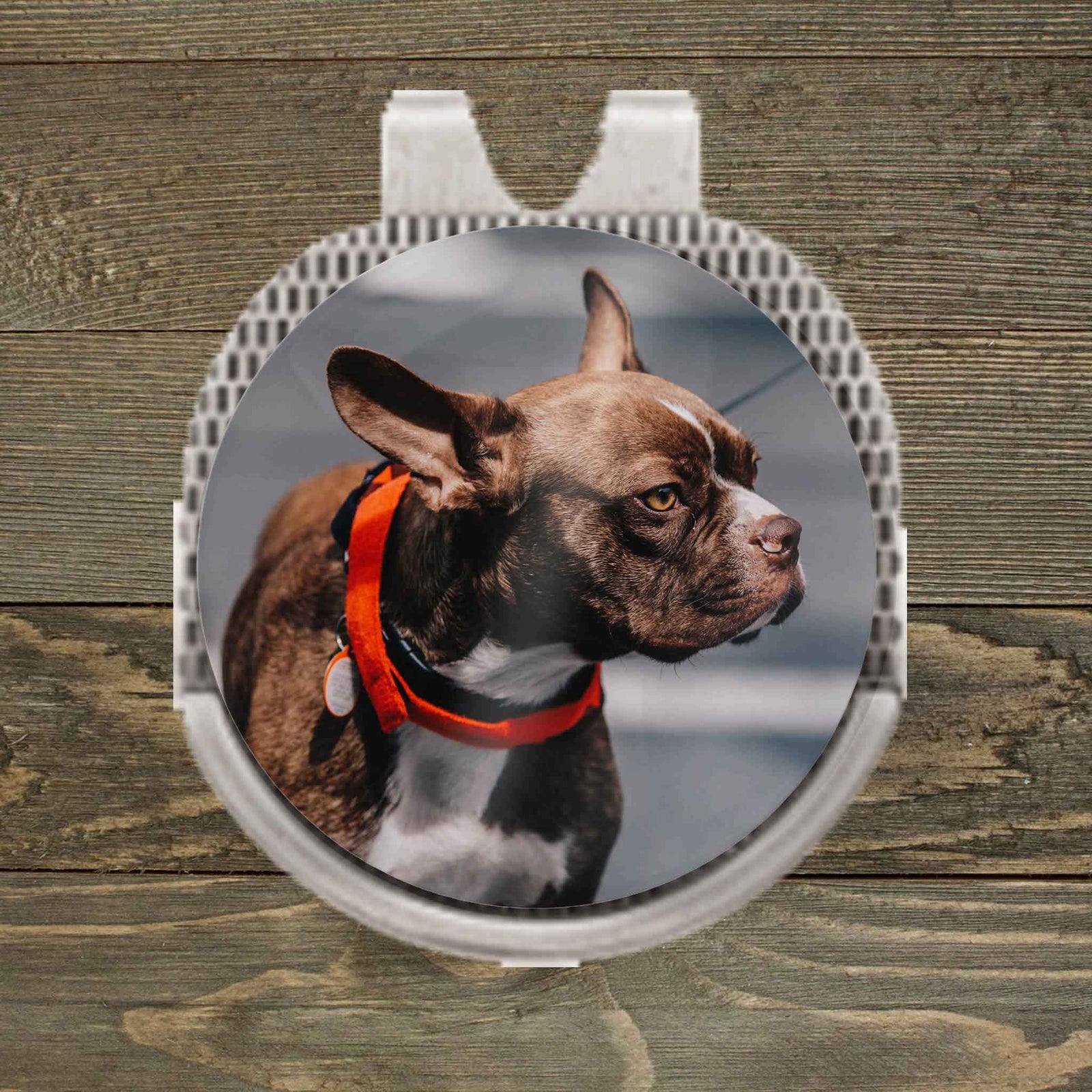 Personalized Ball Marker | Hat Clip Ball Marker | Golf Gifts | Custom Photo Pet