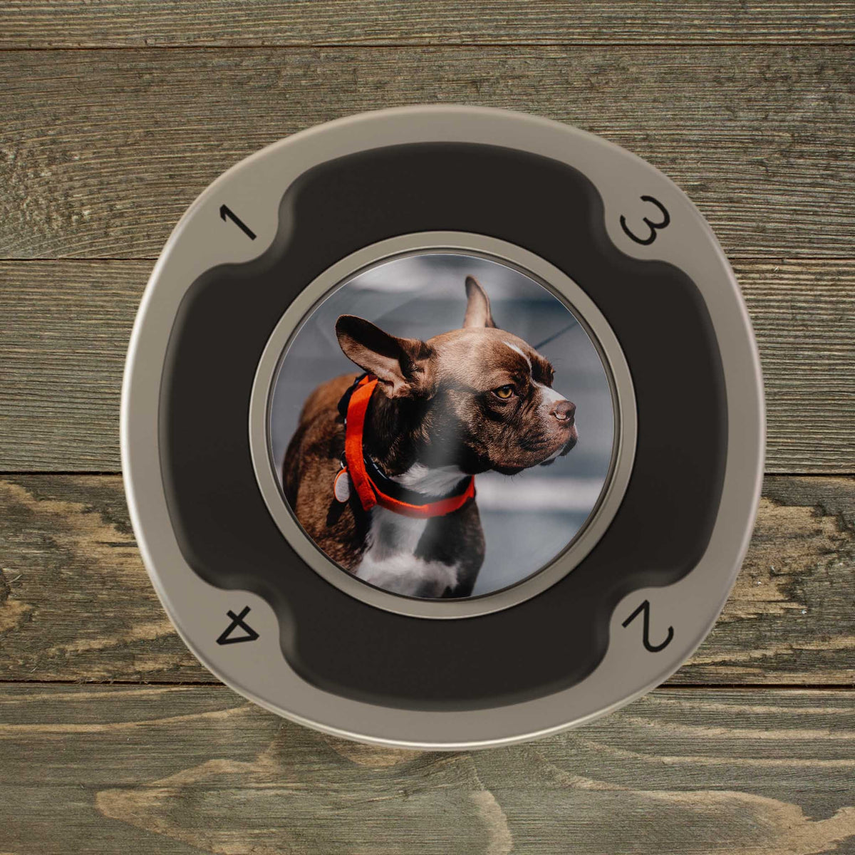 Personalized PitchFix MultiMarker Tool | Custom Ball Markers | Golf Gifts | Custom Photo Pet