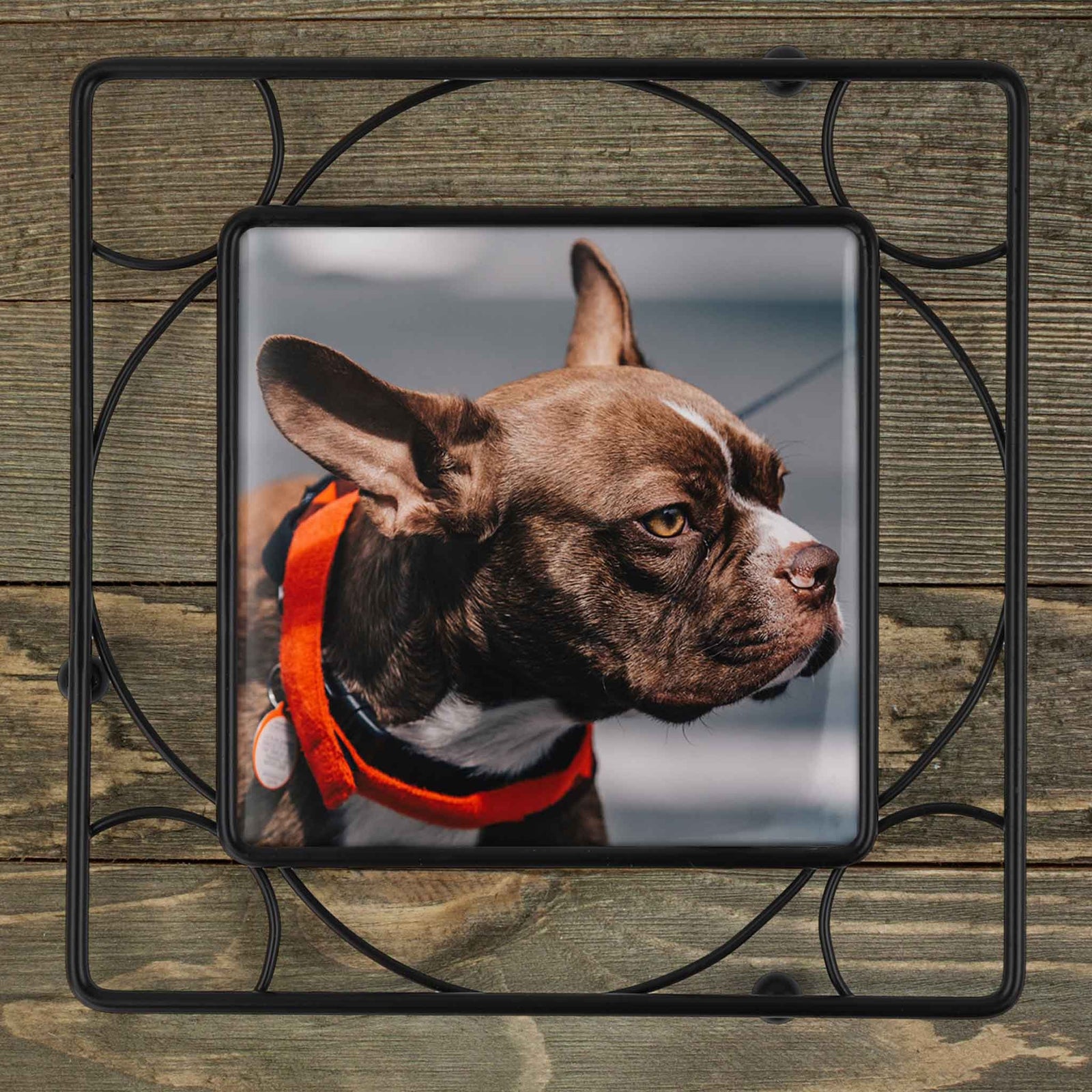 Personalized Iron Trivet | Custom Kitchen Gifts | Custom Photo Pet