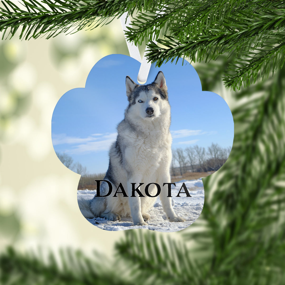 Photo Holiday Ornaments | Personalized Christmas Ornaments | Pet Memory
